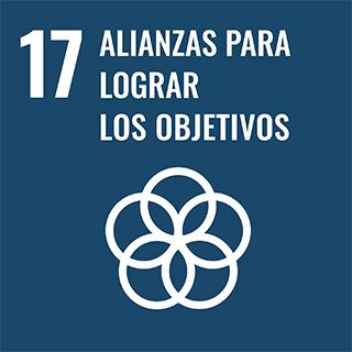 ODS 5