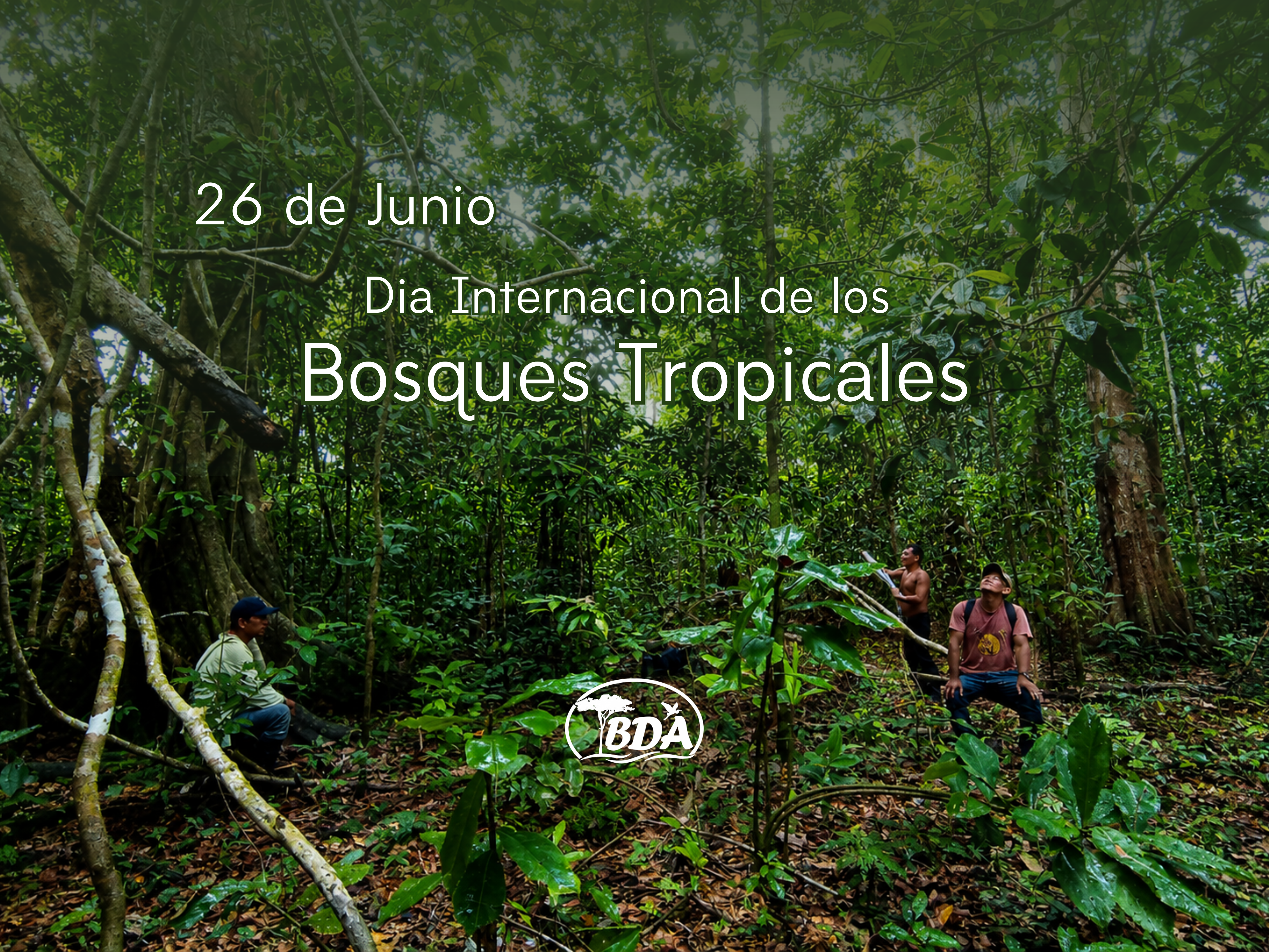 Noticia 14