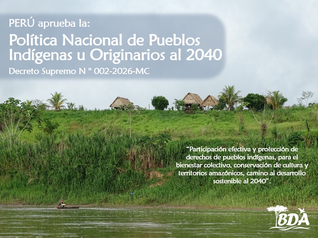 Noticia 12